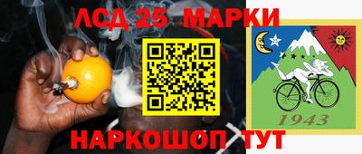 молекула духа Кингисепп