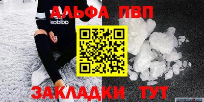 молекула духа Кингисепп