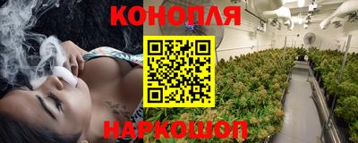 молекула духа Кингисепп