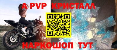 молекула духа Кингисепп