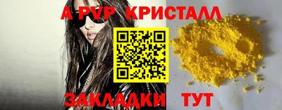 молекула духа Кингисепп