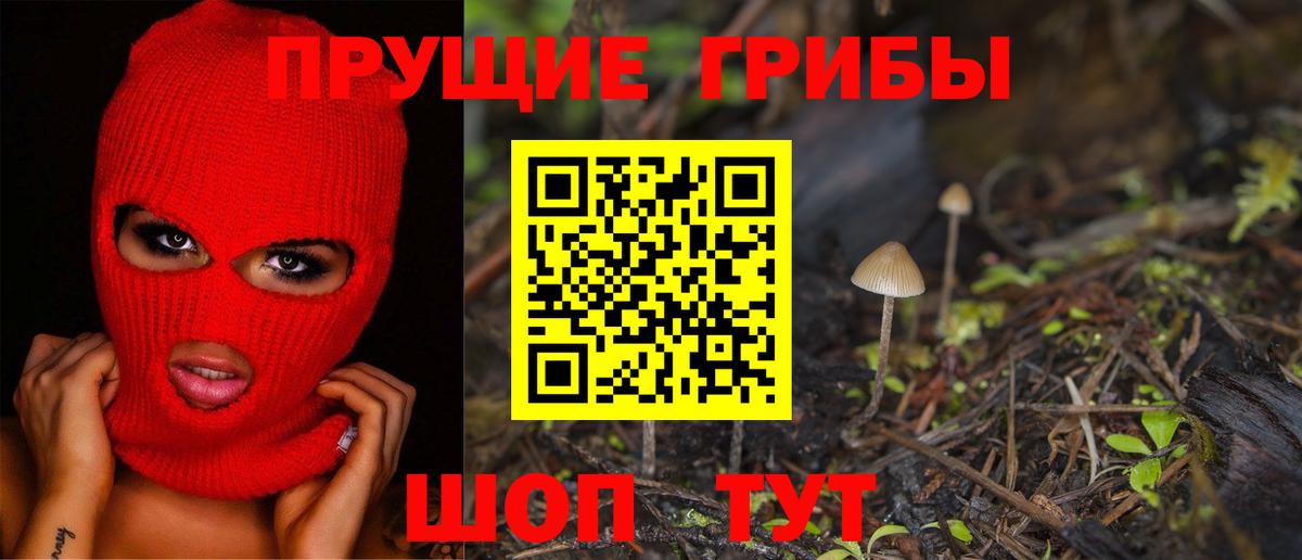 Красноармейск  купить закладку  Вход с VPN  Псилоцибиновые грибы мицелий 