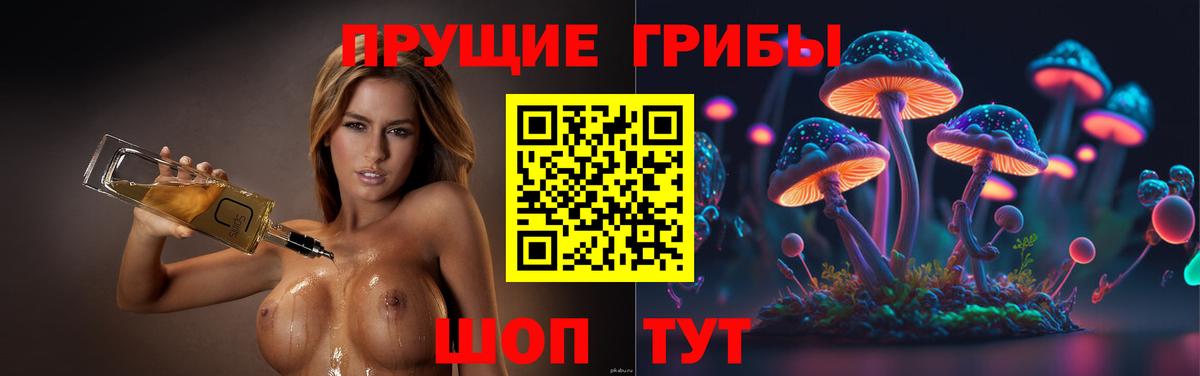 Псилоцибиновые грибы GOLDEN TEACHER Красноармейск