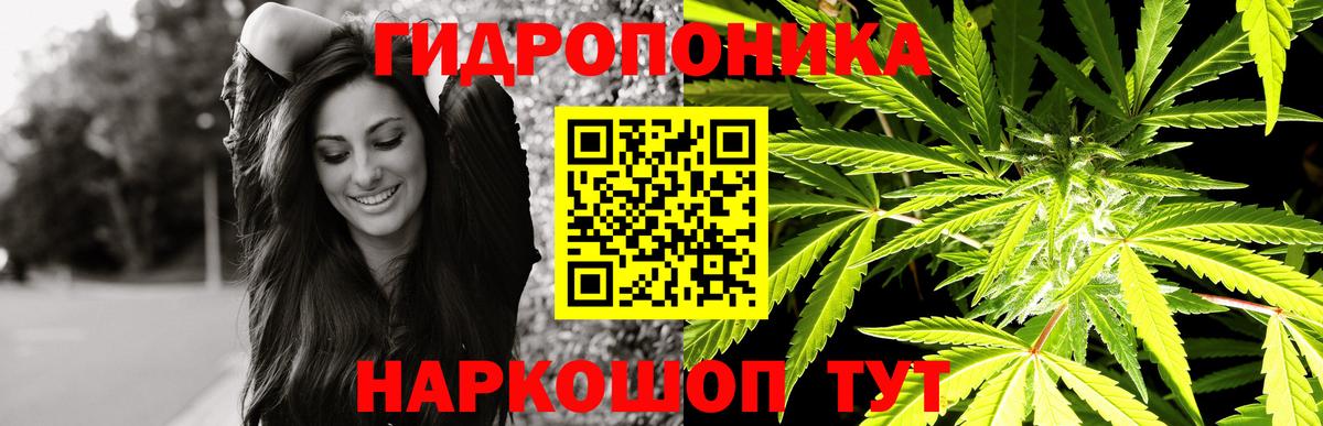Марихуана MAZAR  Бошки Шишки план  Красноармейск  Вход с VPN 